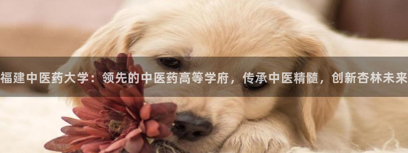 九游会倒闭