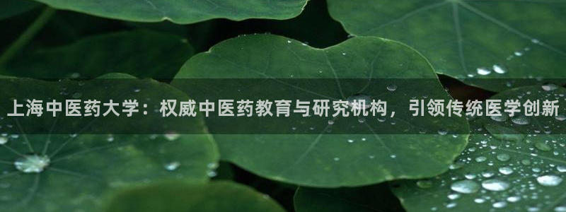 九游会j9国际站 - j9游会官方网页版