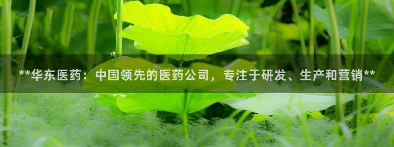 九游会usdt