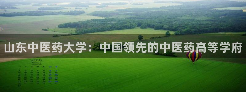 j9p下载