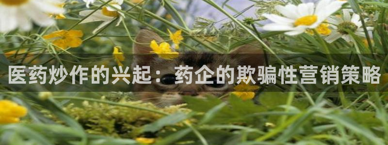 J9九游会-真人游戏第一品牌