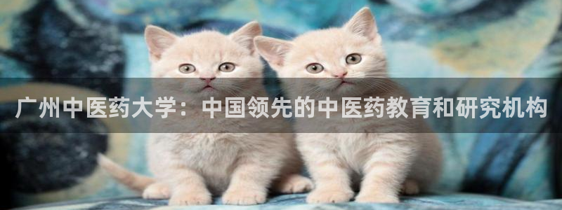 九游会官网进入