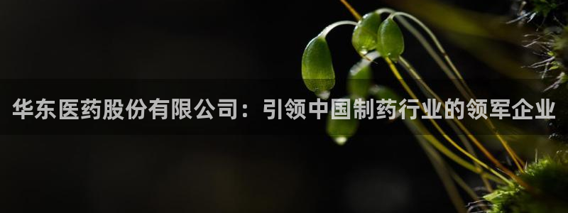 j9九游会登录网址