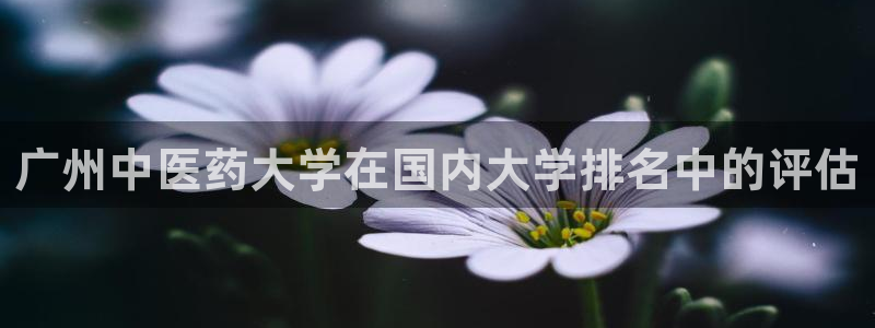 九游会a?g