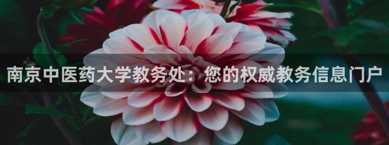 J9九游会旧版