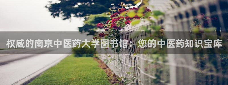 J9九游会旧版