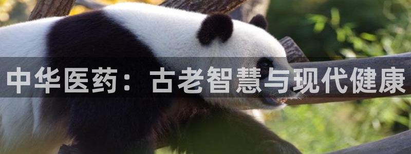 九游会官网下载最新版
