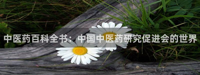 九游会app下载版官网正版安卓