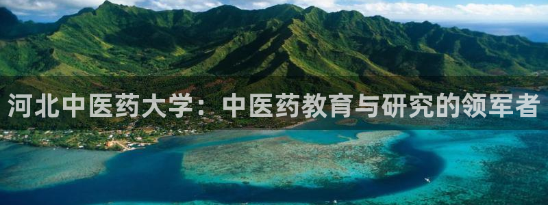 九游会手机版登录