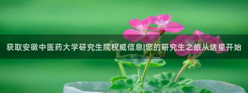 九游会跟ag是怎么一回事