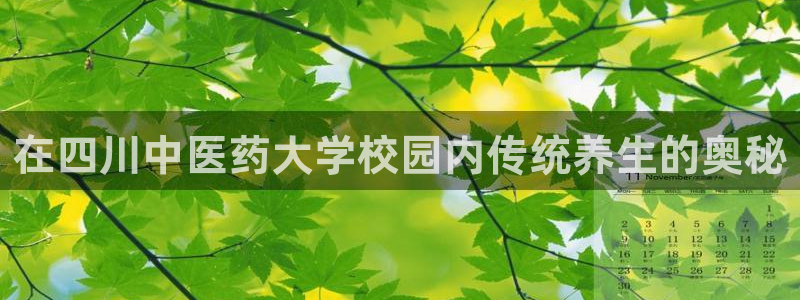 九游会j9官方网站