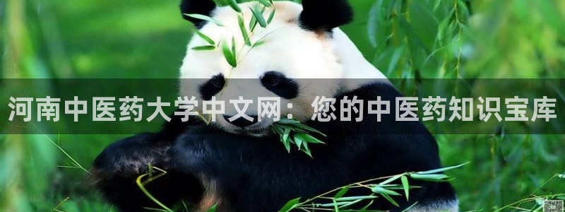 九游会倒闭吗?