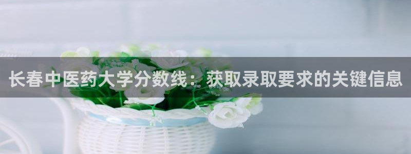 九游会ag私享