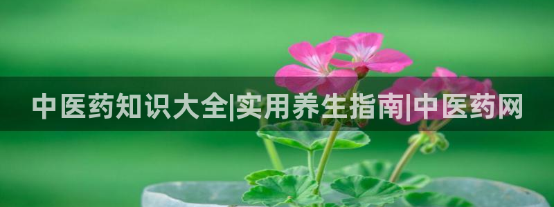 9游会老哥俱乐部