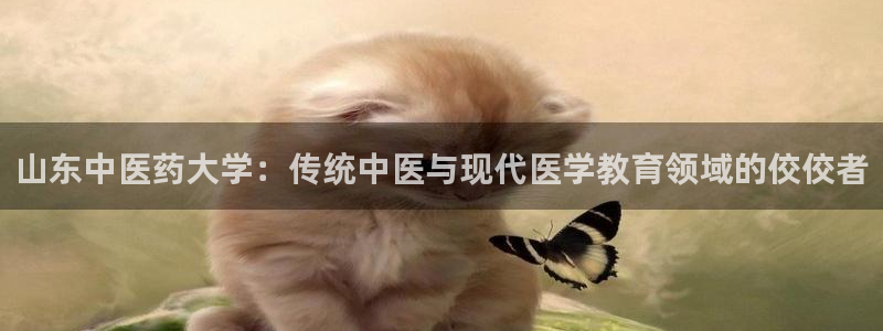 J9九游会官网-真人游戏第一品牌