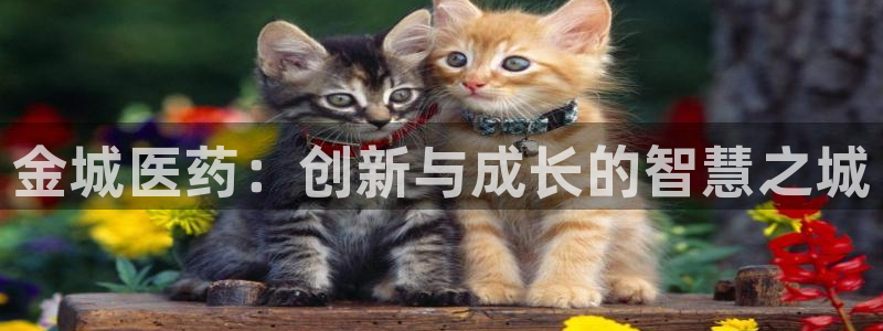 九游会ag老哥