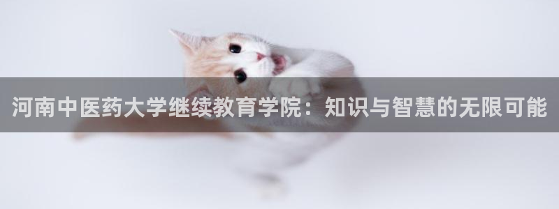 j9.com