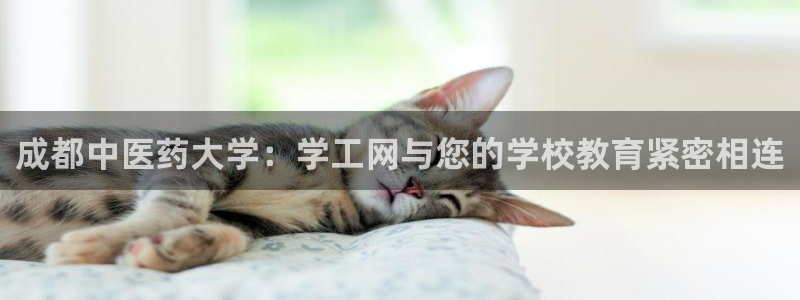 九游会ag官方网站在哪