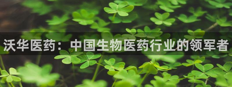 九游会亚洲唯一合作伙伴