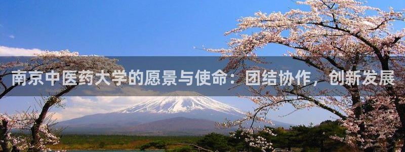 九游会游戏官方登录