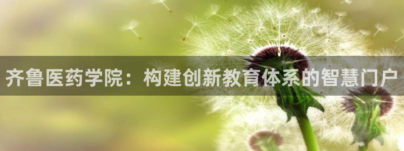 J9九游会app：齐
