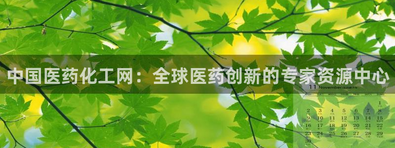 九游会ag入口：中国