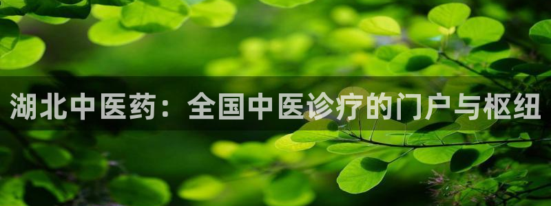 j9九游会怎么样