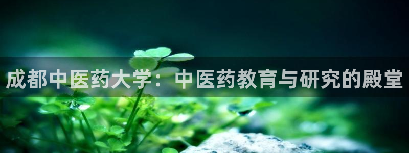 j9九游会登录网址