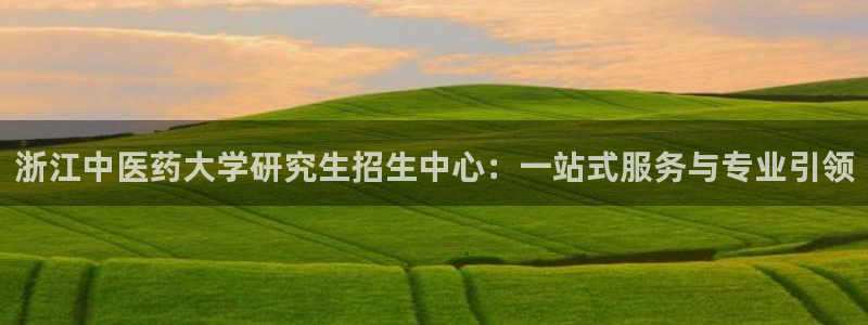 九游会j9官方网站