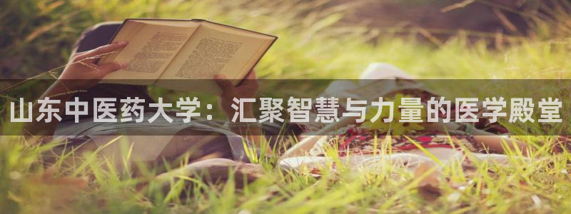 ag九游官网登录
