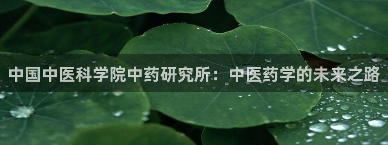 九游会是什么组织