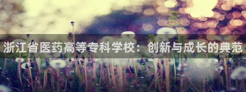 九游会ag入口