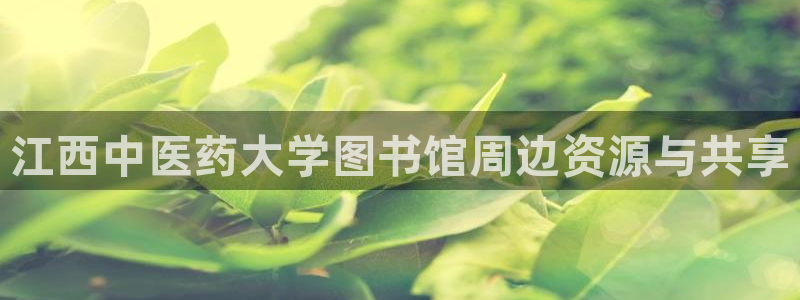 九游会官网j9