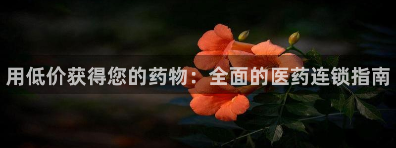 九游会集团币圈